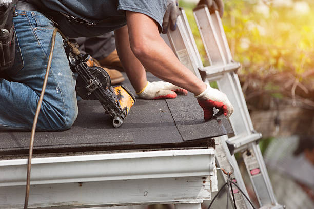 Best Storm Damage Roof Repair  in Chester, IL